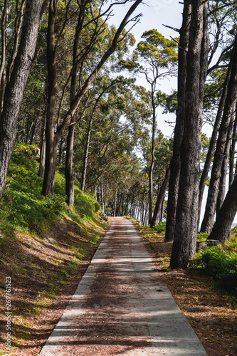 Sentier îles de Cies