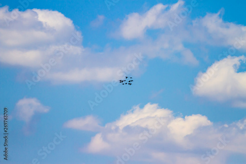 Flying birds. Blue white sky background. 