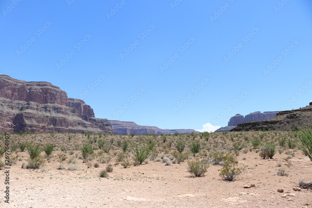 The Arizona desert with a view of the Grand Canyon ridge and desert plants background