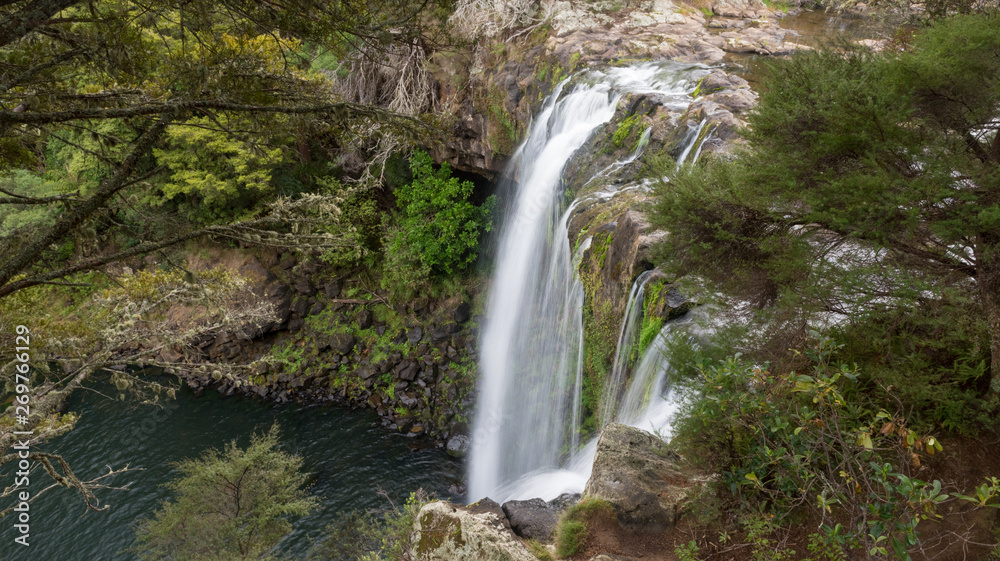 The top of Rainbow Falls, or Waianiwaniwa, on the Kerikeri River flowing over a basalt ledge in a forest. Northland, New Zealand.