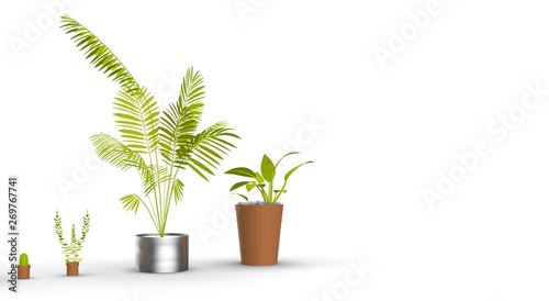 flower plant in Pot 3D Rendering