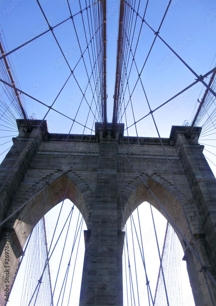 Obraz premium OLYMPUS DIGITAL CAMERA