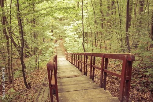 Fototapeta Naklejka Na Ścianę i Meble -  wooden stairs in the forest