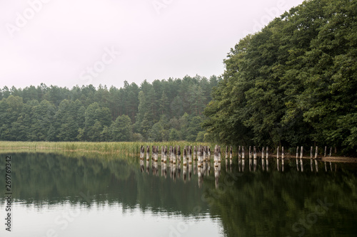 Fototapeta Naklejka Na Ścianę i Meble -  lake in the forest