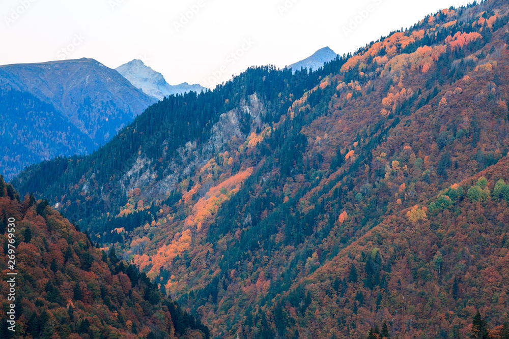 colorful trees in the mountains of Svaneti in the fall. Beautiful autumn landscape