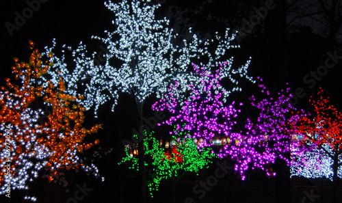 Illuminated trees with lights in Chengdu  China at Wuhou Temple Lantern Festival. The colourful lights on the trees celebrate Chinese New Year.