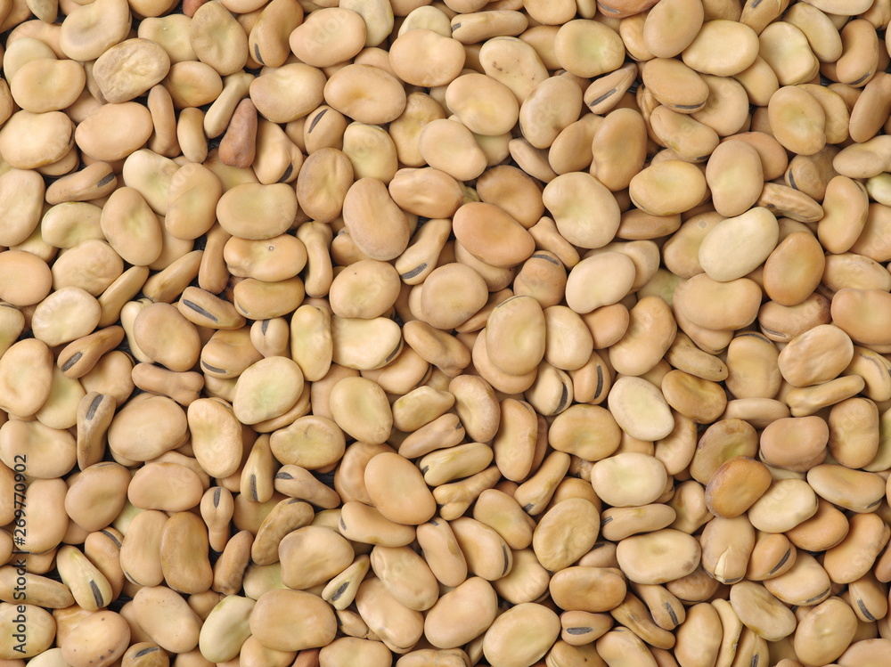 Pile of broad beans, background Pile of broad beans, background
