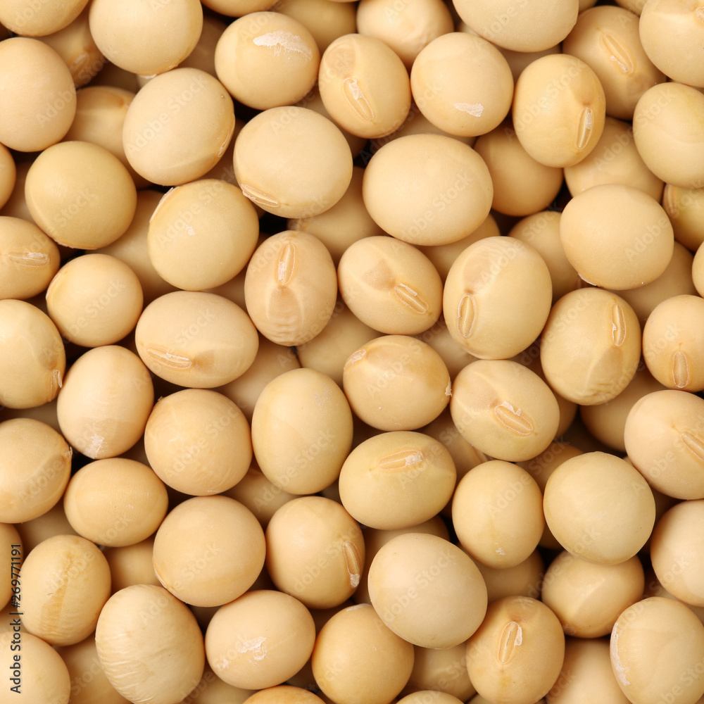 Soybean background Soybean background