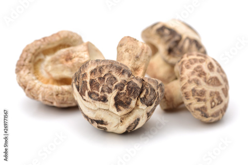 Dry Shiitake Mushroom on white background
