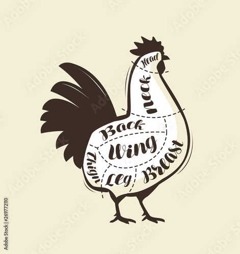 Rooster or chicken meat cutting. Menu for restaurant or butcher shop. Vector vintage
