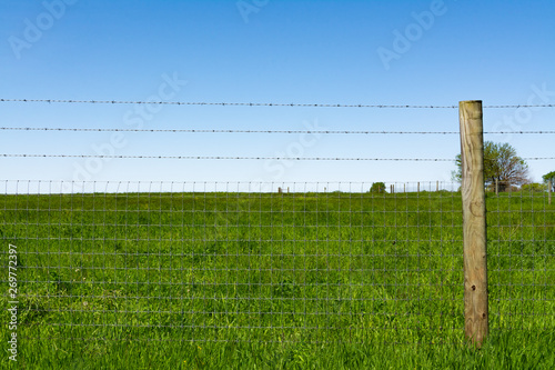 Fotografie Wooden post and field