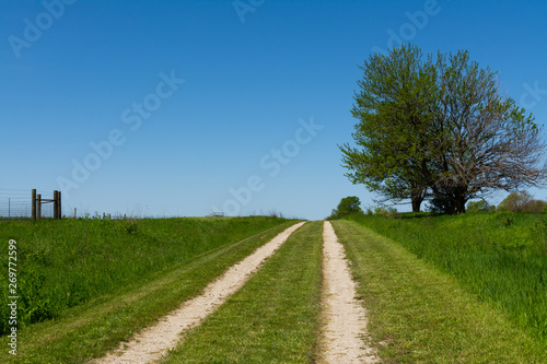 Road through the tallgrass prairie © EJRodriquez