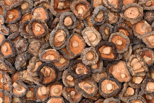 Closeup group of dried mushroom background