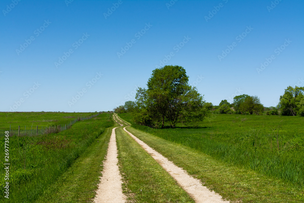 Road through the tallgrass prairie