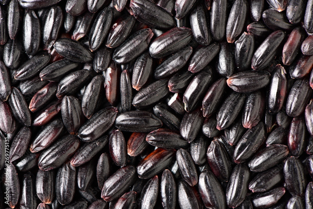 black rice background black rice background