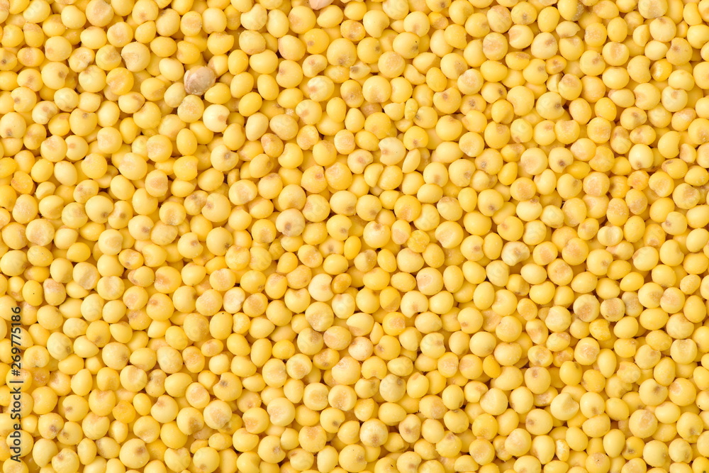 Millet background Millet background