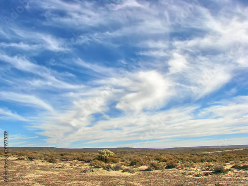 Scenic landscapes of Punta Loma near Puerto Madryn, Argentina © eskystudio