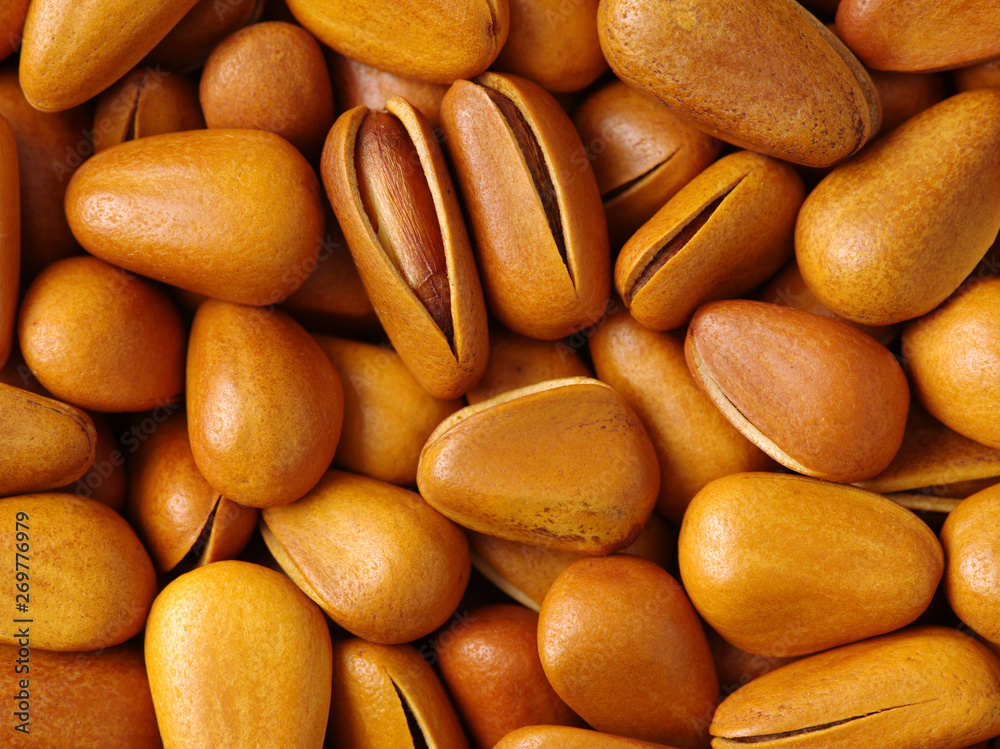 Fototapeta premium Pine nut background
