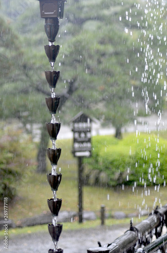 Rain drops are seen as white dots as they fall beside a rain chain. Water is also flowing between the delicate metal flowers of the chain. In the background is a park, bordered by a path with a wooden
