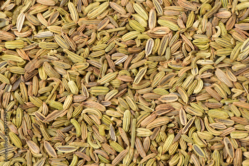 Dried fennel seeds as an abstract background texture