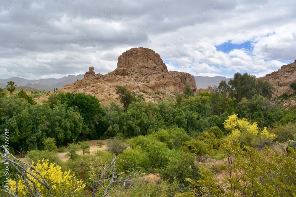 Picketpost Mountain Arizona Landscape