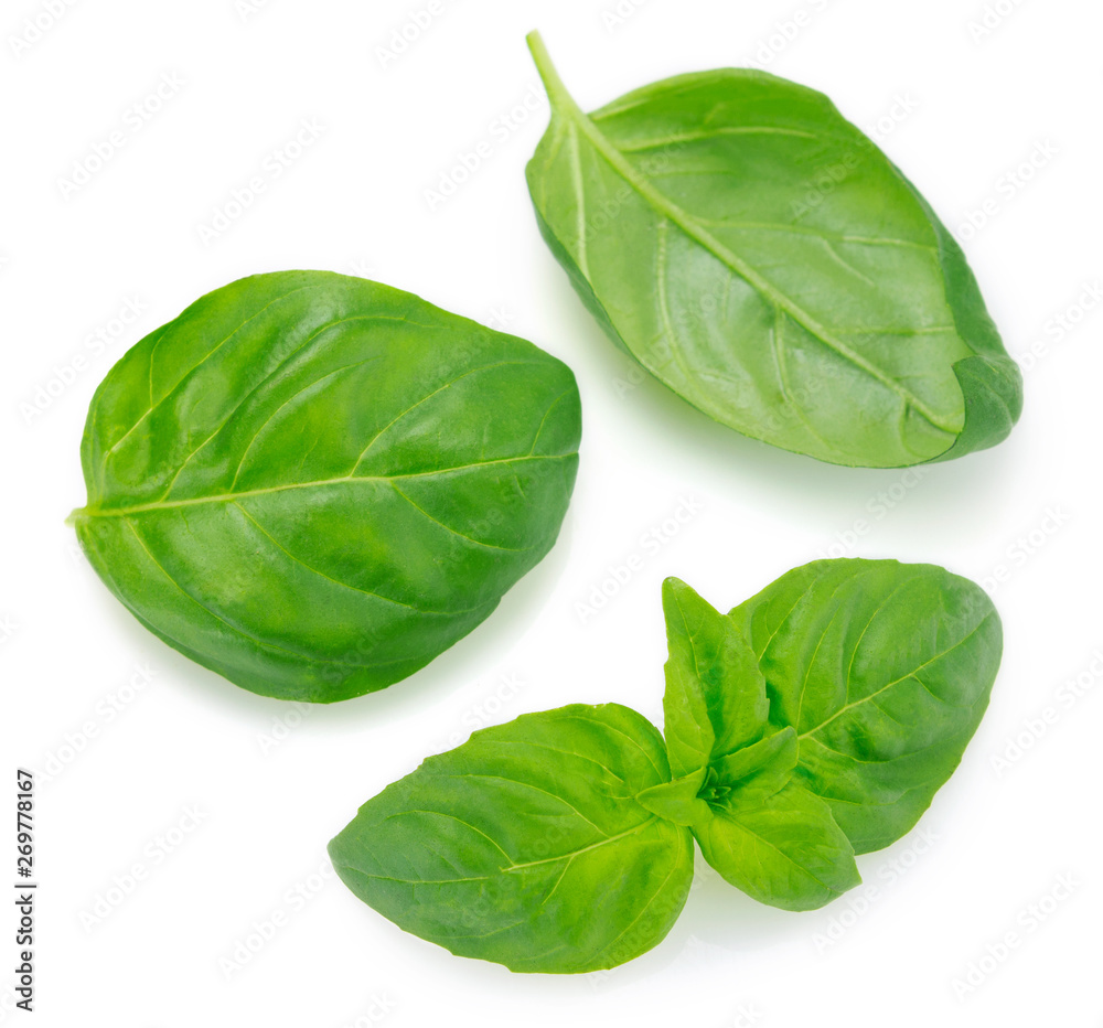 Fresh basil on white background Fresh basil on white background