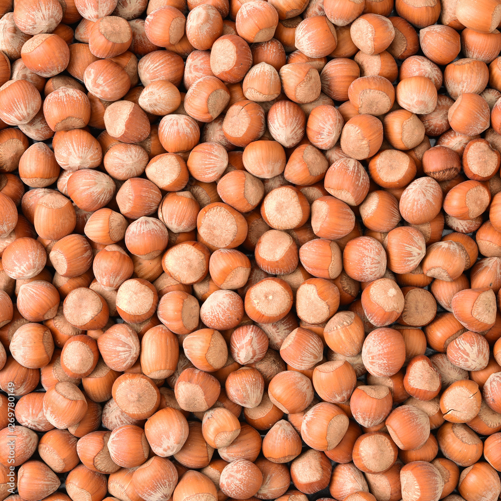 Hazelnuts background Hazelnuts background