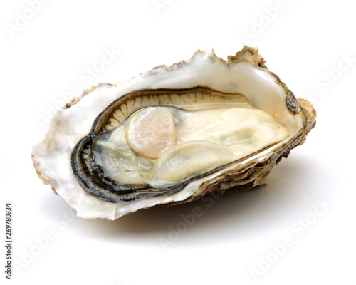 Fresh opened oyster on white background photo