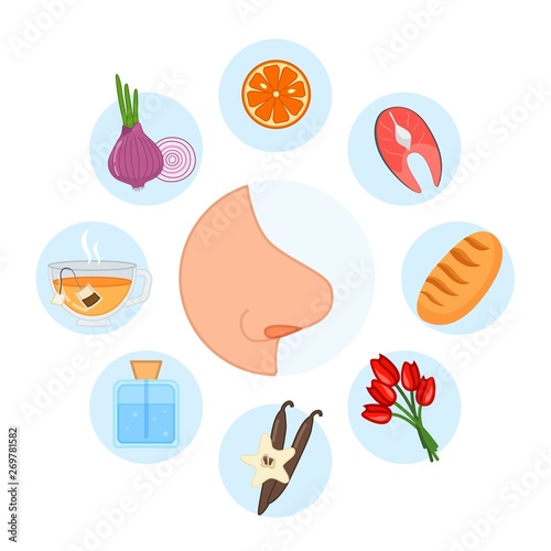 5 sense organs. Smell. Vector illustration. 