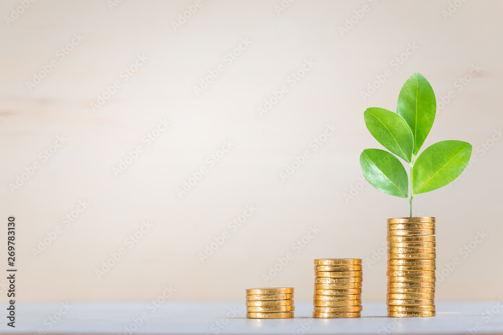 Saving, Business grow up concept background Saving, Business grow up concept background