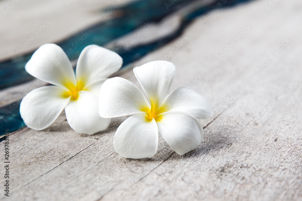 Plumeria flowers on wooden textured background with blue glass. Plumeria flowers on wooden textured background with blue glass.