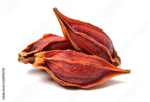 Cuadro en lienzo fruit of the gardenia （Gardenia jasminoides Ellis）on white background