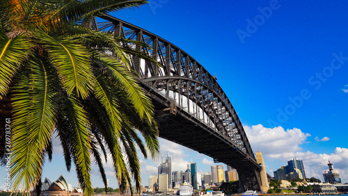 Sydney Harbour Bridge with Palm Tree