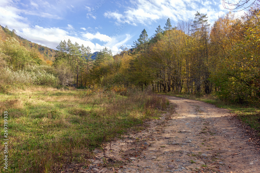 Road in the mountain and chalets. Road in the mountain and chalets.