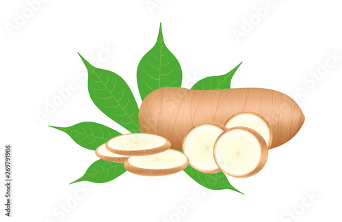 cassava fresh and leaf isolated on white background, raw cassava cut slice for tapioca flour industry or ethanol industry, pile yucca cassava tuber, raw manioc cassava in top view