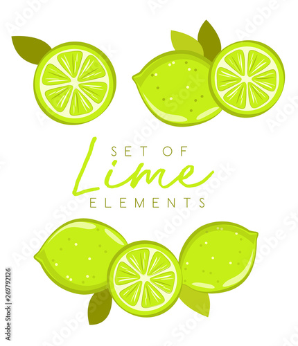 Set of fresh lime fruits, collection of vector illustrations