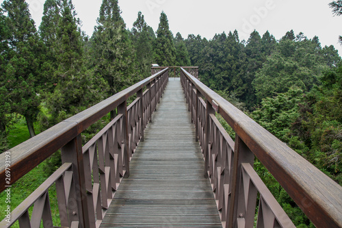 Fototapeta Naklejka Na Ścianę i Meble -  The wood sky walkway in alishan national park at taiwan.