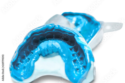 Wallpaper Mural Two dental impressions on a white background. Dental molds from the upper and lower jaws of silicone material. The imprint of the tooth row of high precision. Torontodigital.ca