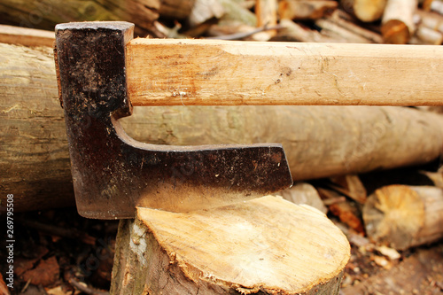 Axe in log