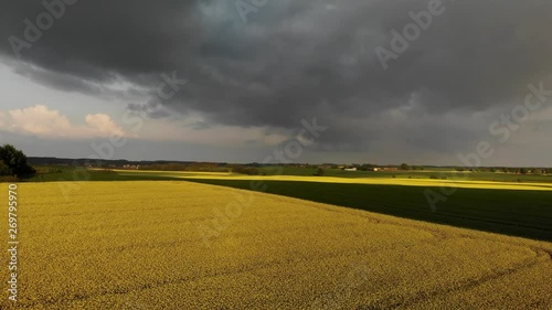 Dark clouds over green and yellow rape field. Preparing to rain on the field. Big dark clouds and heavy rain over farm field. Thunderstorm over a rapeseed field. photo