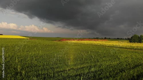 Thunderstorm over a rapeseed field. Green and yellow rape field. Big dark clouds and heavy rain over farm field. photo