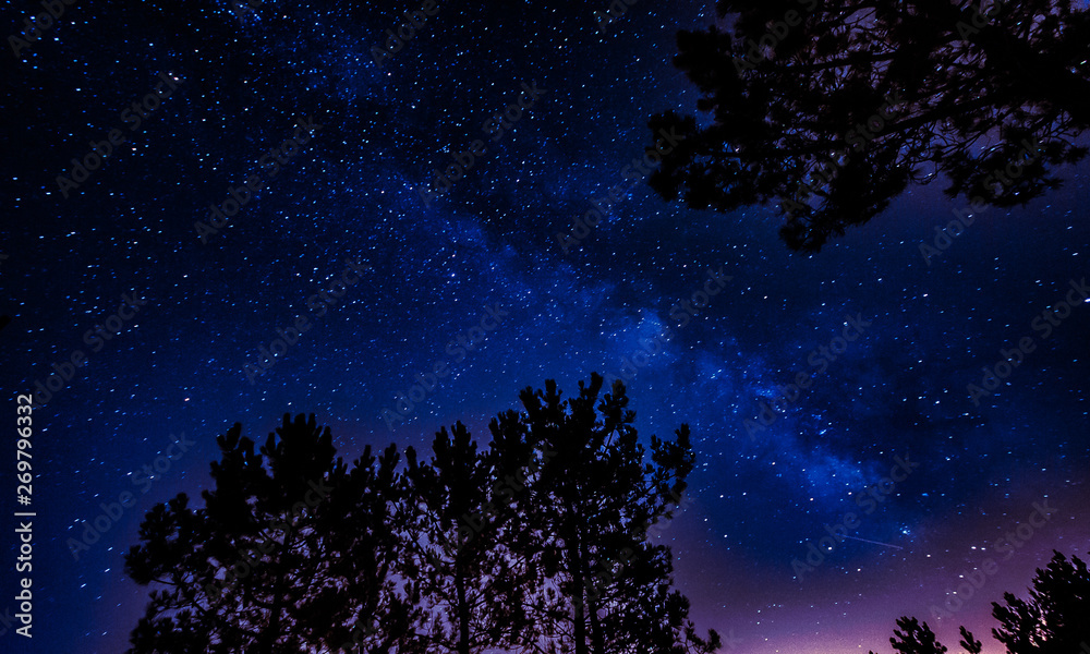 Naklejka premium milky way