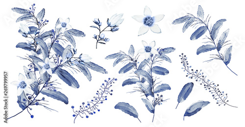 Watercolor.  Botanical collection. Set of wild and garden abstract plants . Leaves, flowers, branches and other natural elements. All drawings isolated on white background. Blue.