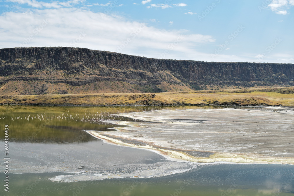 Algae and sand deposits against an arid background at Lake Magadi, Kenya