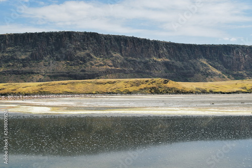 Algae and sand deposits against an arid background at Lake Magadi, Kenya