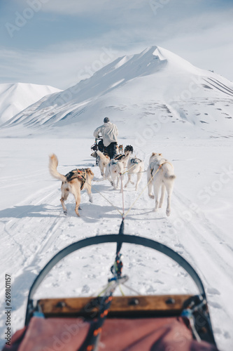 dogsledding in Svalbard with a snow covered mountain in the background