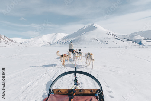 Dogsledding in Svalbard, Norway