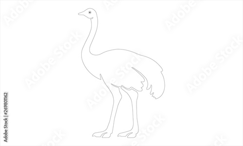 Ostrich icon in outline style isolated on white background. Bird symbol stock vector illustration. - Vector 