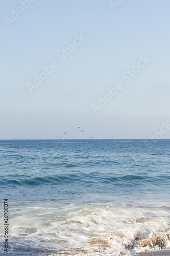 open expanse of blue water highlighted with sunlight flock of pelicans flying