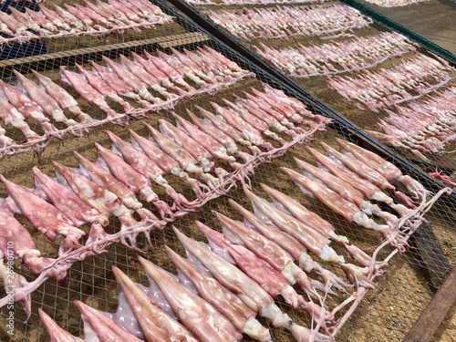 Natural dried octopus seafood in thailand